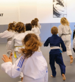 BJJ Dojo Berlin