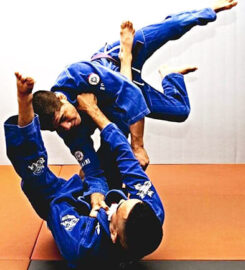 Bronx Jiu Jitsu