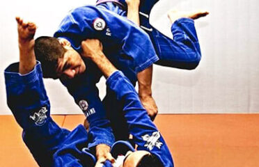 Bronx Jiu Jitsu