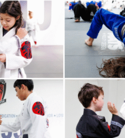 Alex Martins BJJ