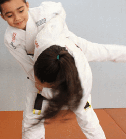 Bronx Jiu Jitsu
