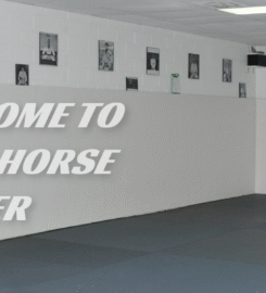 Dark Horse Brazilian Jiu Jitsu
