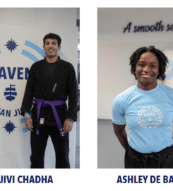 Haven BJJ Rotterdam