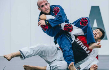 Alex Martins BJJ