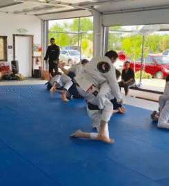 Way of Jiu Jitsu