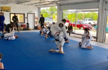 Way of Jiu Jitsu