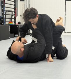 The MATS Academy