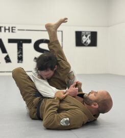The MATS Academy