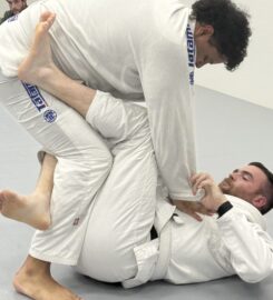 The MATS Academy