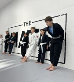 The MATS Academy