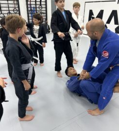 The MATS Academy